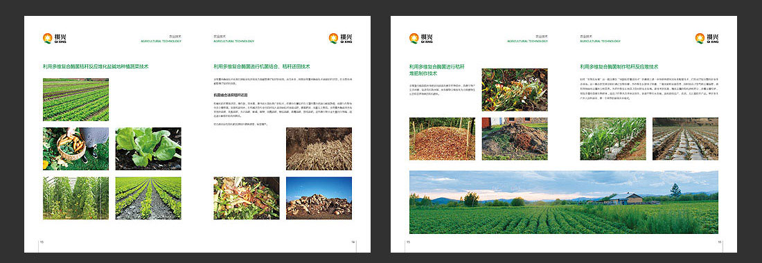 祺興生物公司高檔畫冊設(shè)計(jì)-6