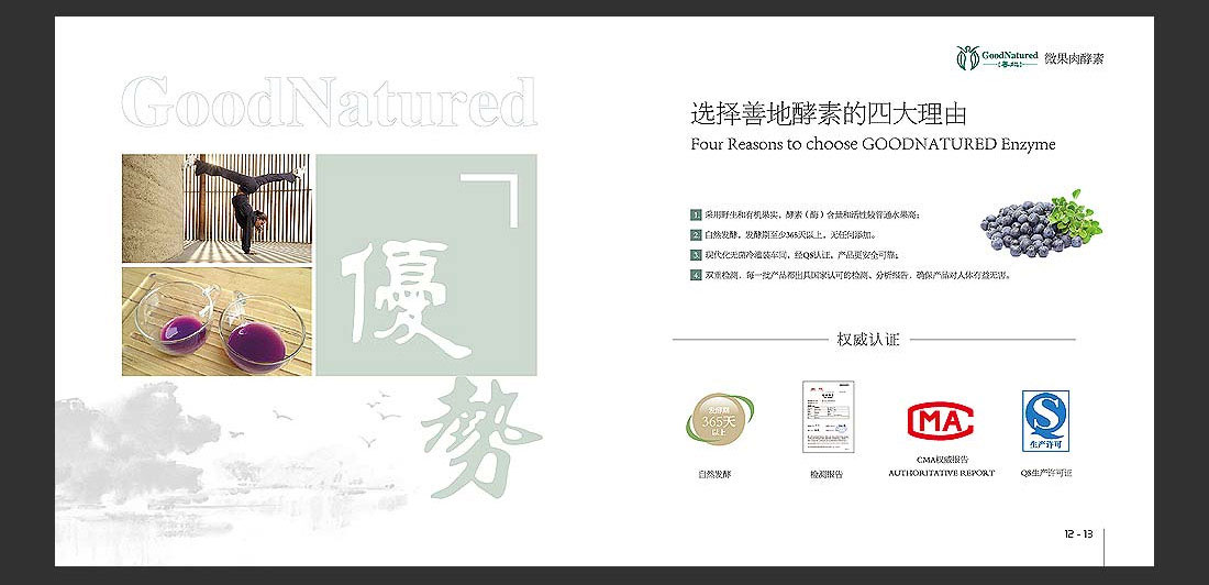 善地生物科技宣傳冊_酵素飲料產(chǎn)品冊-11